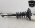 Shock Absorber AUDI A4 Avant (8E5, B6), AUDI A4 Avant (8ED, B7)