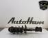 Shock Absorber FIAT PANDA (312_, 319_), FIAT PANDA VAN (312_, 519_)