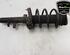 Shock Absorber FORD C-MAX II (DXA/CB7, DXA/CEU)