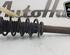 Shock Absorber PEUGEOT 407 (6D_), PEUGEOT 407 SW (6E_)