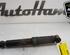 Shock Absorber RENAULT KANGOO Express (FW0/1_)