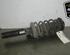 Shock Absorber VW PASSAT Variant (3C5), VW GOLF VI (5K1), VW GOLF VI Van (5K1_), VW PASSAT (3C2)