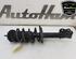 Shock Absorber OPEL MERIVA B MPV (S10)