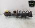 Shock Absorber MAZDA 3 (BM, BN)