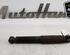 Shock Absorber FIAT PANDA (169_)