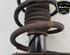 Shock Absorber RENAULT KANGOO / GRAND KANGOO (KW0/1_)