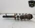 Shock Absorber PEUGEOT 107 (PM_, PN_), TOYOTA AYGO (_B1_), CITROËN C1 (PM_, PN_)