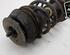 Shock Absorber OPEL TIGRA TwinTop (X04)