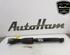 Shock Absorber AUDI Q5 (8RB), AUDI Q5 Van (8RB)