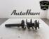 Shock Absorber BMW 3 Touring (E46)