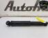 Shock Absorber OPEL MOVANO B Bus (X62), OPEL MOVANO B Van (X62)