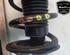 Shock Absorber FIAT DUCATO Van (250_, 290_), FIAT DUCATO Bus (250_, 290_)