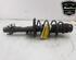 Shock Absorber SEAT IBIZA IV (6J5, 6P1)