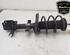 Shock Absorber RENAULT CLIO V (B7_)