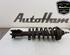 Shock Absorber OPEL VIVARO A Van (X83)