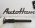 Shock Absorber BMW 3 Touring (F31)