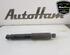 Shock Absorber FIAT DUCATO Van (250_, 290_), FIAT DUCATO Bus (250_, 290_)