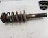 Shock Absorber VW GOLF VI Convertible (517), VW PASSAT Variant (3C5), VW GOLF V (1K1), VW GOLF VI (5K1)