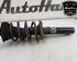 Shock Absorber AUDI A3 (8P1), AUDI A3 Sportback (8PA)