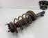 Shock Absorber FORD TRANSIT CONNECT (P65_, P70_, P80_), FORD TRANSIT CUSTOM V362 Van (FY, FZ)