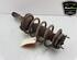 Shock Absorber FORD TRANSIT CONNECT (P65_, P70_, P80_), FORD TRANSIT CUSTOM V362 Van (FY, FZ)