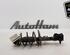 Shock Absorber FORD KA (RU8)