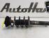 Shock Absorber SEAT ALTEA (5P1), SEAT ALTEA XL (5P5, 5P8), SEAT TOLEDO III (5P2), SEAT LEON (1P1)