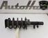 Shock Absorber FORD C-MAX II (DXA/CB7, DXA/CEU)