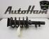 Shock Absorber FORD C-MAX II (DXA/CB7, DXA/CEU)