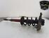 Shock Absorber AUDI A4 Avant (8ED, B7)