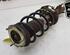 Shock Absorber FORD FIESTA VI (CB1, CCN)