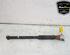 Shock Absorber FORD FIESTA VI (CB1, CCN)