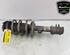 Shock Absorber FIAT DOBLO Cargo (263_), FIAT DOBLO MPV (263_)