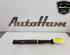 Shock Absorber CITROËN C3 PICASSO (SH_)