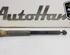 Shock Absorber FORD KA+ (UK, FK)