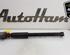 Shock Absorber AUDI A1 (8X1, 8XK), AUDI A1 Sportback (8XA, 8XF)