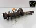 Shock Absorber FORD TRANSIT CONNECT (P65_, P70_, P80_), FORD TRANSIT CUSTOM V362 Van (FY, FZ)