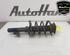 Shock Absorber FORD FOCUS II Turnier (DA_, FFS, DS)