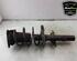 Shock Absorber RENAULT MEGANE IV Hatchback (B9A/M/N_)