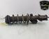 Shock Absorber FORD FIESTA VII (HJ, HF)