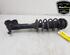 Shock Absorber SUZUKI IGNIS III (MF)