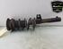 Shock Absorber SEAT LEON (5F1), SEAT LEON SC (5F5), SEAT LEON ST (5F8)