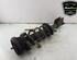 Shock Absorber OPEL VIVARO B Van (X82), RENAULT TRAFIC III Van (FG_)