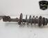 Shock Absorber SUZUKI SWIFT III (MZ, EZ)