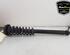 Shock Absorber MERCEDES-BENZ SL (R230)