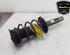 Shock Absorber SKODA KODIAQ (NS7, NV7, NS6)