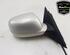 Wing (Door) Mirror VW PASSAT (3B2)