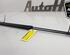 Bootlid (Tailgate) Gas Strut Spring RENAULT KANGOO / GRAND KANGOO (KW0/1_)