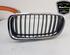 Radiator Grille BMW 3 (F30, F80)