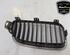 Radiator Grille BMW 3 Touring (F31), BMW 3 (F30, F80)